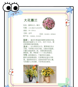 红虫室内养殖技术，掌握关键要点，实现稳定产出