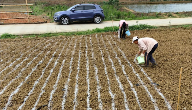 红虫室内养殖技术，掌握关键要点，实现稳定产出