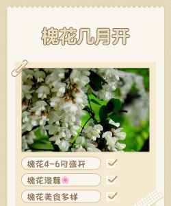 废油养花，家庭妙用，环保又省钱