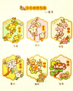 废油养花，家庭妙用，环保又省钱