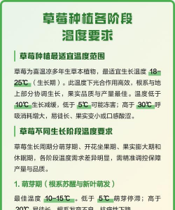 草莓生长温度是多少度 草莓生长温度是多少度