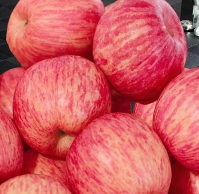 天门冬盆栽养殖方法，轻松上手，四季常绿