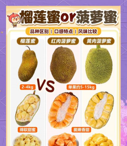 天门冬盆栽养殖方法，轻松上手，四季常绿