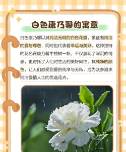 天门冬盆栽养殖方法，轻松上手，四季常绿