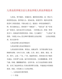 生态土鸡养殖技术，掌握关键要点，提升养殖效益