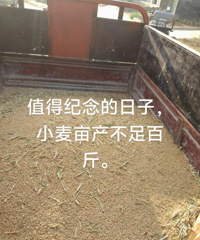 昆明花卉批发，货源渠道多，价格优势大