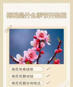 昆明花卉批发，货源渠道多，价格优势大