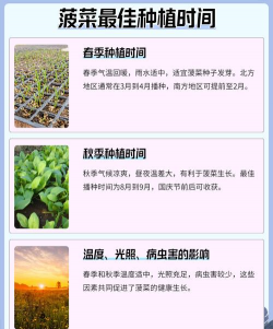 昆明花卉批发，货源渠道多，价格优势大