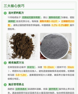 昆明花卉批发，货源渠道多，价格优势大