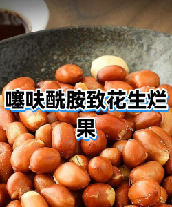 用水养花，简单易学，新手也能轻松上手