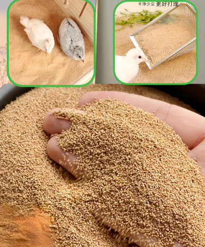 用水养花，简单易学，新手也能轻松上手