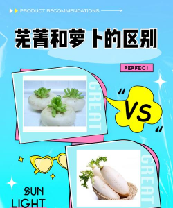 用水养花，简单易学，新手也能轻松上手