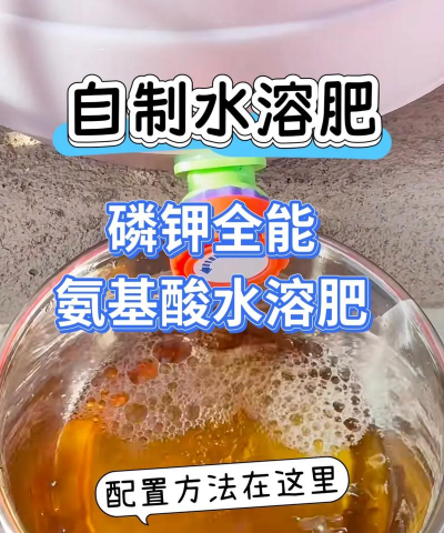 用水养花，简单易学，新手也能轻松上手