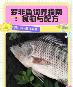 用水养花，简单易学，新手也能轻松上手