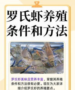 用水养花，简单易学，新手也能轻松上手