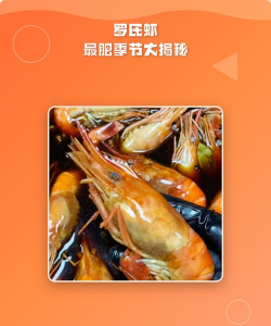 用水养花，简单易学，新手也能轻松上手