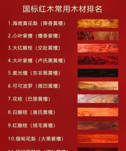 用水养花，简单易学，新手也能轻松上手