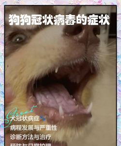 犬埃立克体病及相关感染 犬埃立克体病及相关感染
