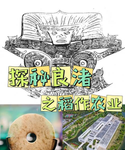 广西怡养花园大酒店，住宿体验分享，真实感受告诉你