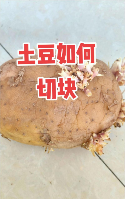 广西怡养花园大酒店，住宿体验分享，真实感受告诉你