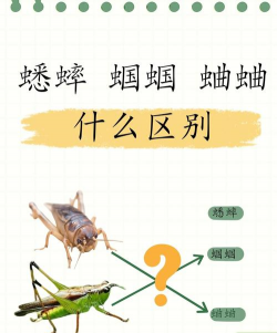 广西怡养花园大酒店，住宿体验分享，真实感受告诉你