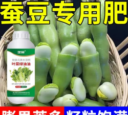 广西怡养花园大酒店，住宿体验分享，真实感受告诉你