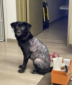 广西怡养花园大酒店，住宿体验分享，真实感受告诉你