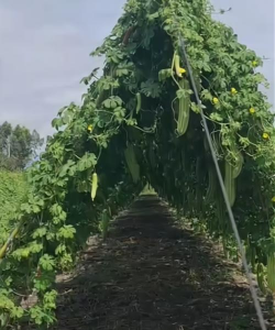 广西怡养花园大酒店，住宿体验分享，真实感受告诉你