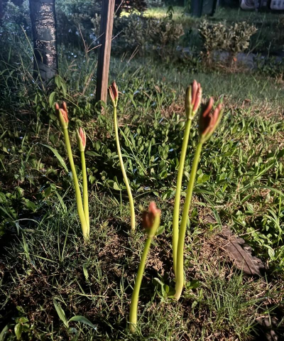 广西怡养花园大酒店，住宿体验分享，真实感受告诉你