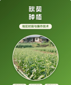 广西怡养花园大酒店，住宿体验分享，真实感受告诉你