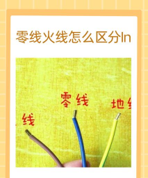 用水养花，简单易学，新手也能轻松上手