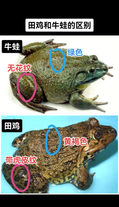 广西怡养花园大酒店，住宿体验分享，真实感受告诉你