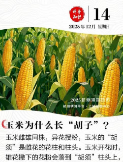 养花，新手入门指南，轻松掌握技巧