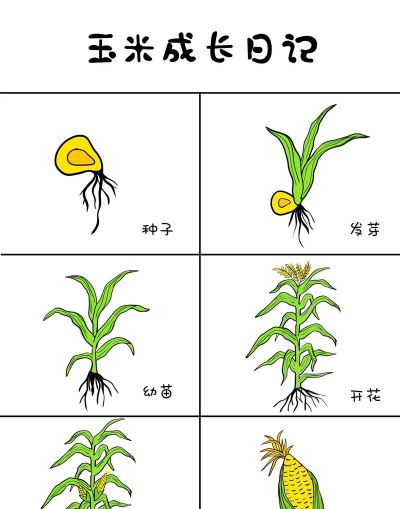 西安养殖场，选址要点，运营关键