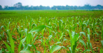 西安养殖场，选址要点，运营关键