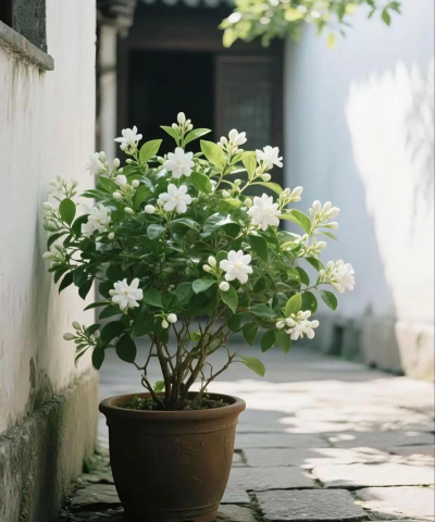 西安养殖场，选址要点，运营关键