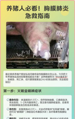 西安养殖场，选址要点，运营关键