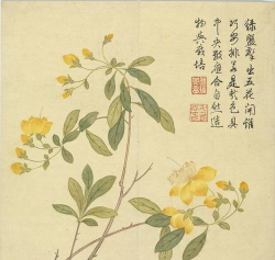 西安养殖场，选址要点，运营关键