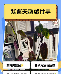 西安养殖场，选址要点，运营关键