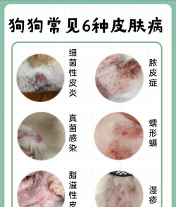 西安养殖场，选址要点，运营关键