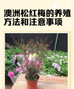 西安养殖场，选址要点，运营关键