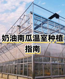 山东水产养殖，提升养殖效益，掌握关键技术