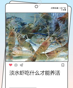 家里养花的心情说说，分享美好瞬间，感受生活温暖