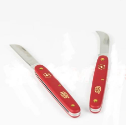 家里养花的心情说说，分享美好瞬间，感受生活温暖