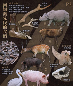 家里养花的心情说说，分享美好瞬间，感受生活温暖