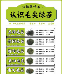 毛尖是绿茶吗 毛尖是绿茶吗