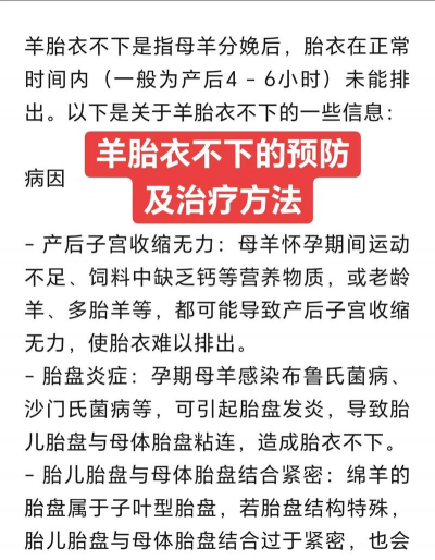 家里养花的心情说说，分享美好瞬间，感受生活温暖