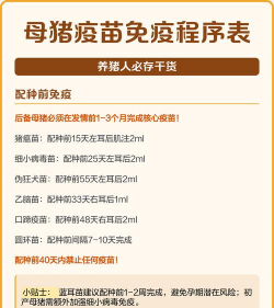 家里养花的心情说说，分享美好瞬间，感受生活温暖