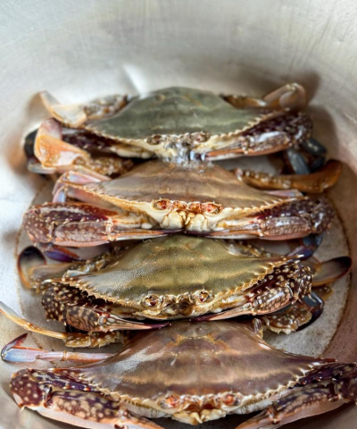 纯净水可以养花吗，了解水质影响，掌握正确方法