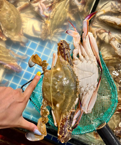 纯净水可以养花吗，了解水质影响，掌握正确方法